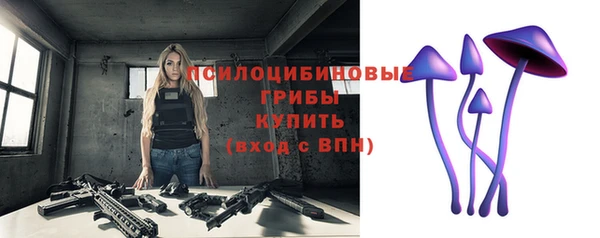 прущий лед Переславль-Залесский