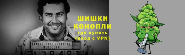 крисы Аркадак