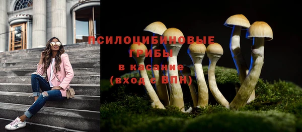 прущий лед Переславль-Залесский