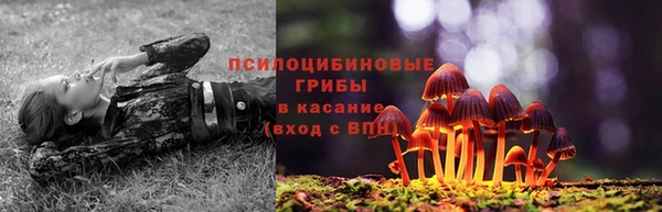 таблы Арсеньев
